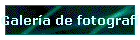 Galer�a de fotograf�as