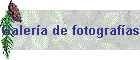 Galer�a de fotograf�as