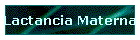 Lactancia Materna